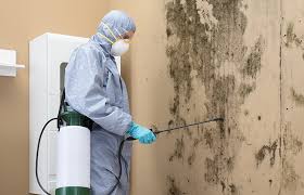 Best Emergency Mold Remediation  in Morrow, OH